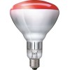 PHILIPS - Θερμαντική Λάμπα Υπερύθρων BR125/IR/250W/250V/Ε27/Κόκκινη Λοιπές Λάμπες - Φθορισμού - Κυκλικές G10q